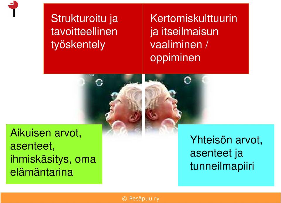 oppiminen Aikuisen arvot, asenteet, ihmiskäsitys,