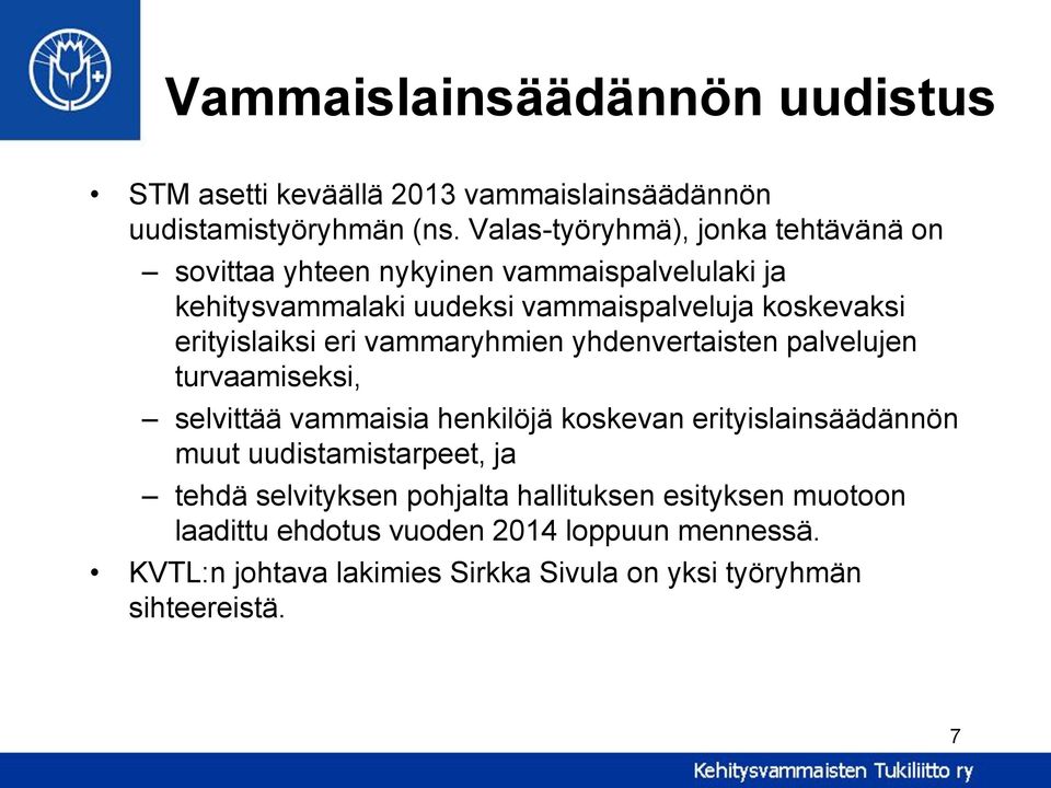 erityislaiksi eri vammaryhmien yhdenvertaisten palvelujen turvaamiseksi, selvittää vammaisia henkilöjä koskevan erityislainsäädännön muut