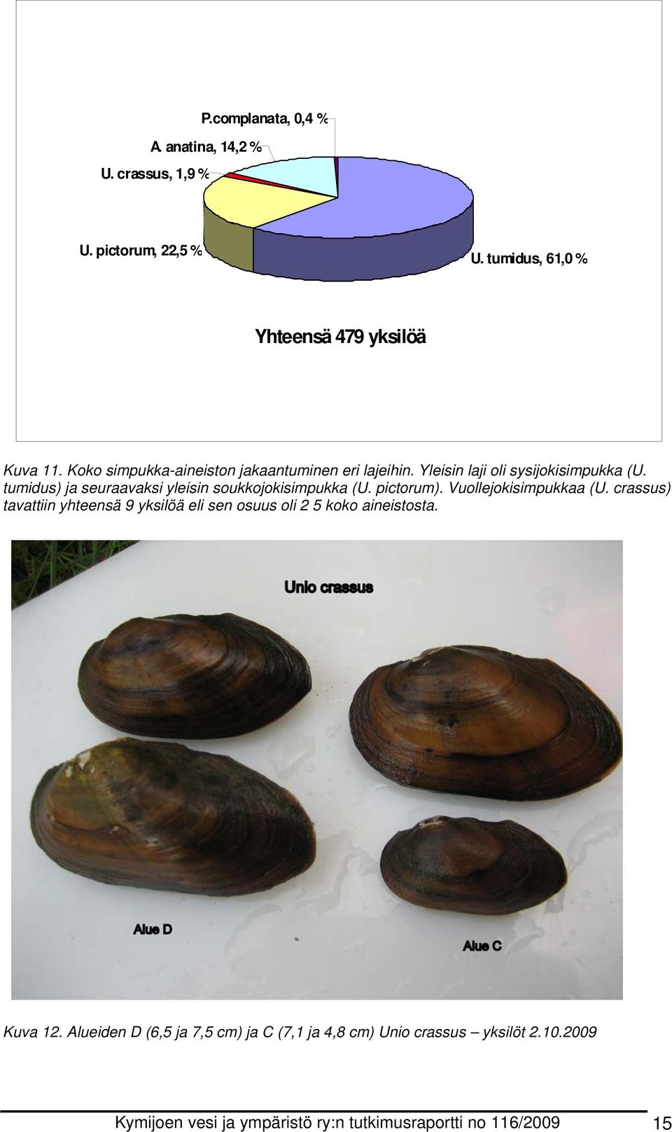 tumidus) ja seuraavaksi yleisin soukkojokisimpukka (U. pictorum). Vuollejokisimpukkaa (U.