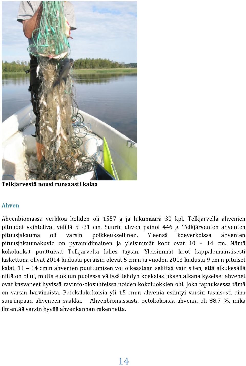 Nämä kokoluokat puuttuivat Telkjärveltä lähes täysin. Yleisimmät koot kappalemääräisesti laskettuna olivat 2014 kudusta peräisin olevat 5 cm:n ja vuoden 2013 kudusta 9 cm:n pituiset kalat.