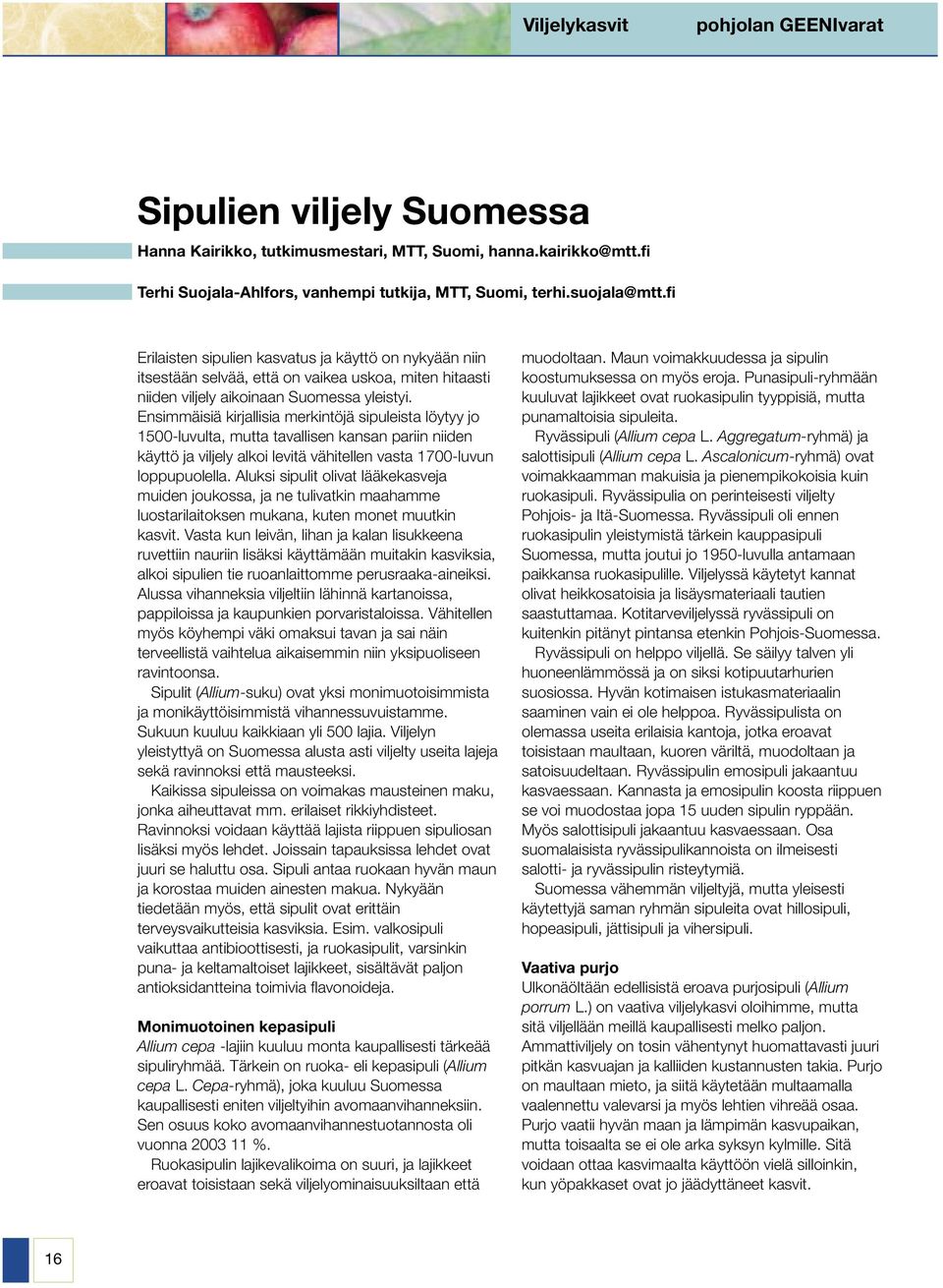 Ensimmäisiä kirjallisia merkintöjä sipuleista löytyy jo 1500-luvulta, mutta tavallisen kansan pariin niiden käyttö ja viljely alkoi levitä vähitellen vasta 1700-luvun loppupuolella.