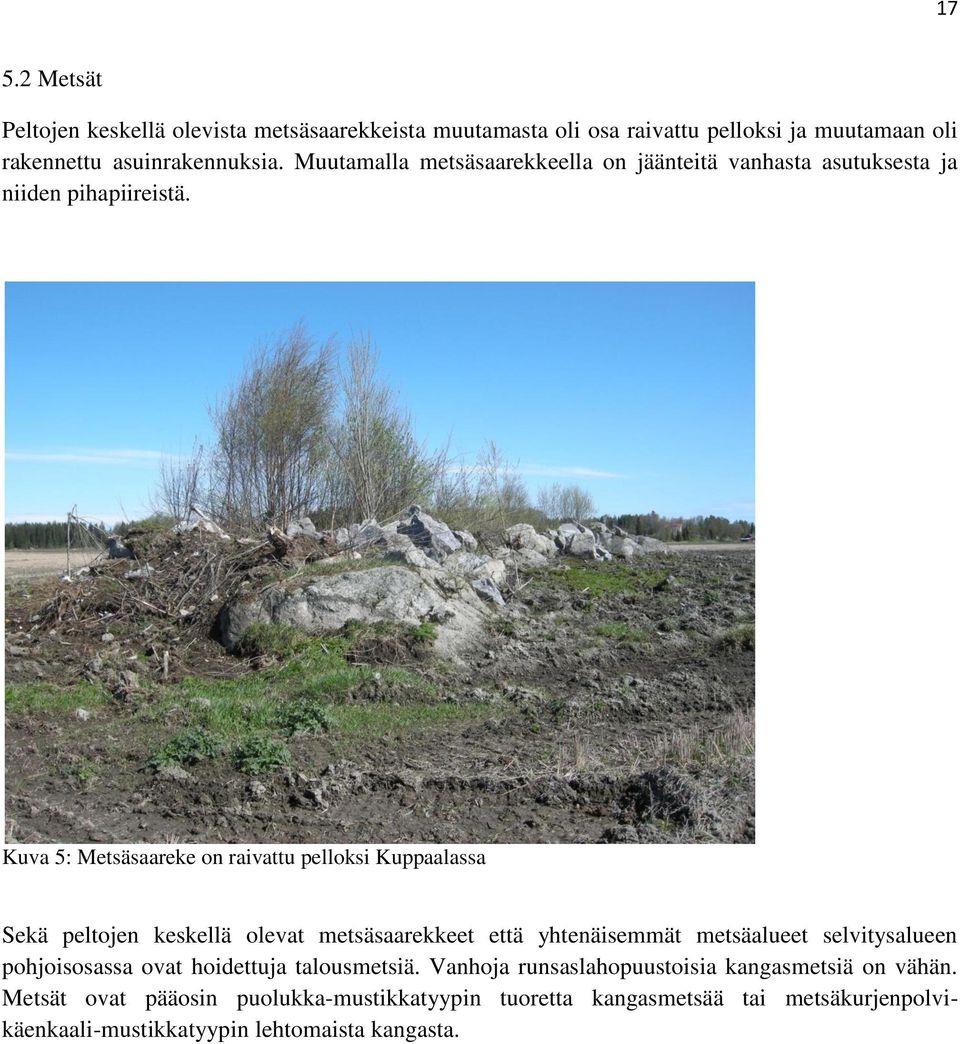 Kuva 5: Metsäsaareke on raivattu pelloksi Kuppaalassa Sekä peltojen keskellä olevat metsäsaarekkeet että yhtenäisemmät metsäalueet selvitysalueen