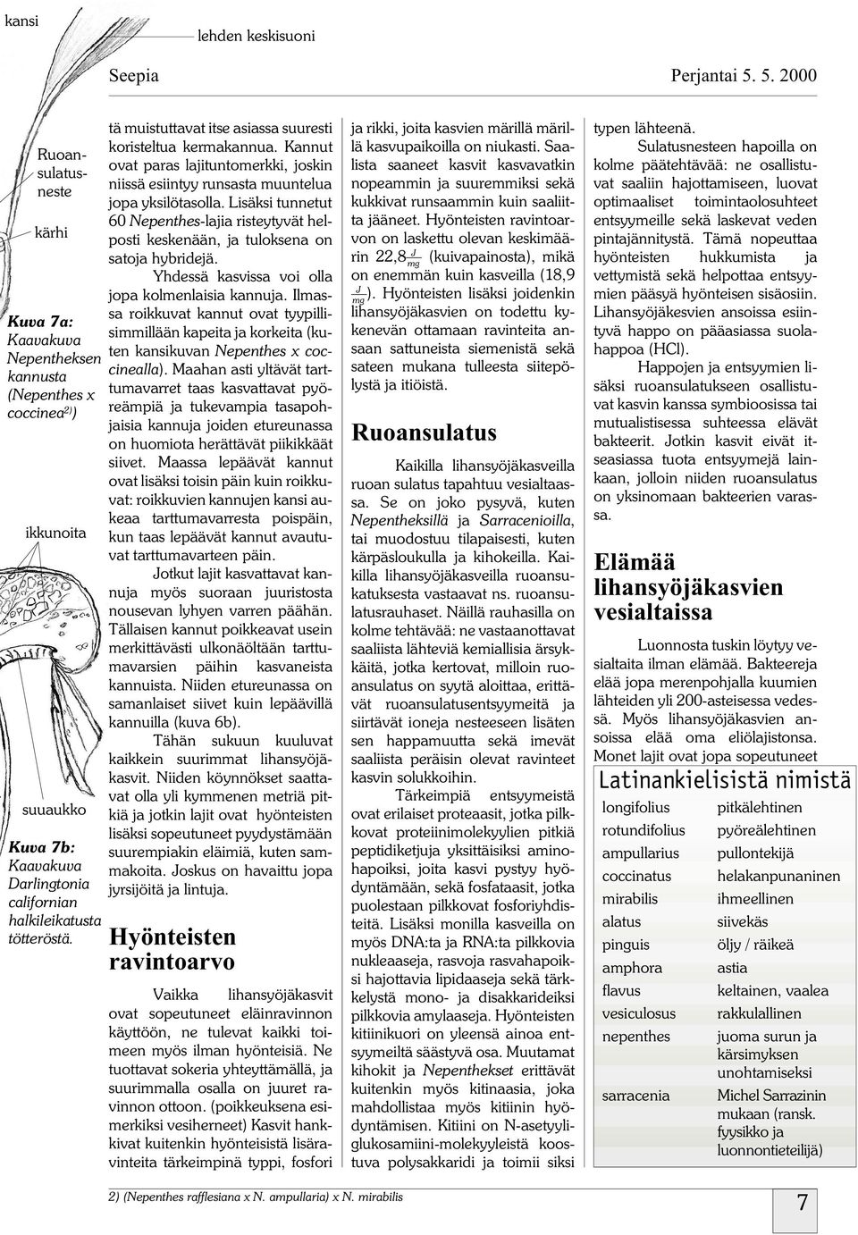 tä muistuttavat itse asiassa suuresti koristeltua kermakannua. Kannut ovat paras lajituntomerkki, joskin niissä esiintyy runsasta muuntelua jopa yksilötasolla.