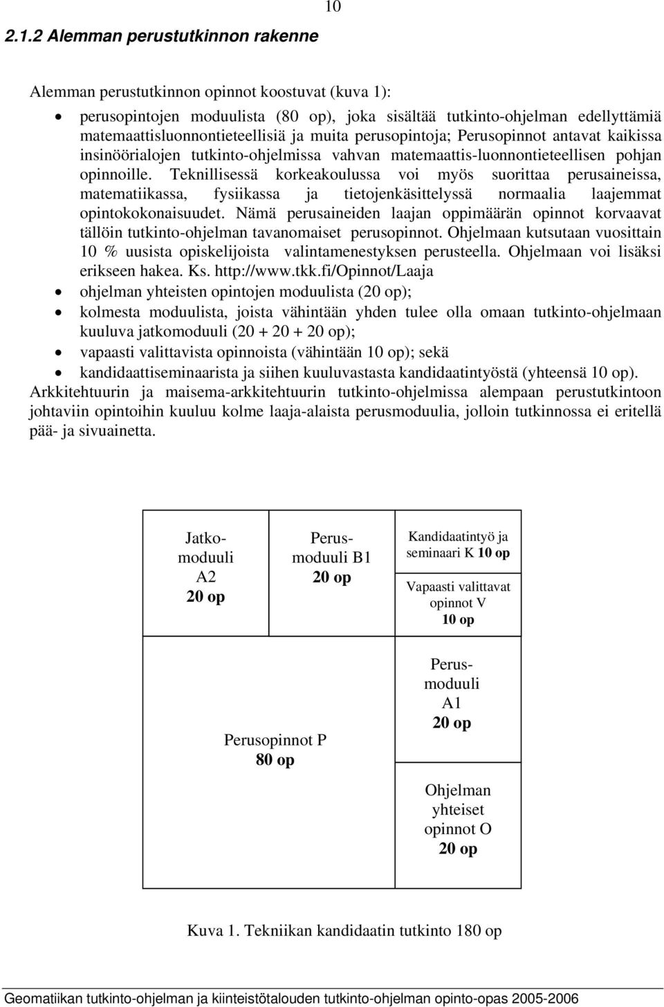 Teknillisessä korkeakoulussa voi myös suorittaa perusaineissa, matematiikassa, fysiikassa ja tietojenkäsittelyssä normaalia laajemmat opintokokonaisuudet.