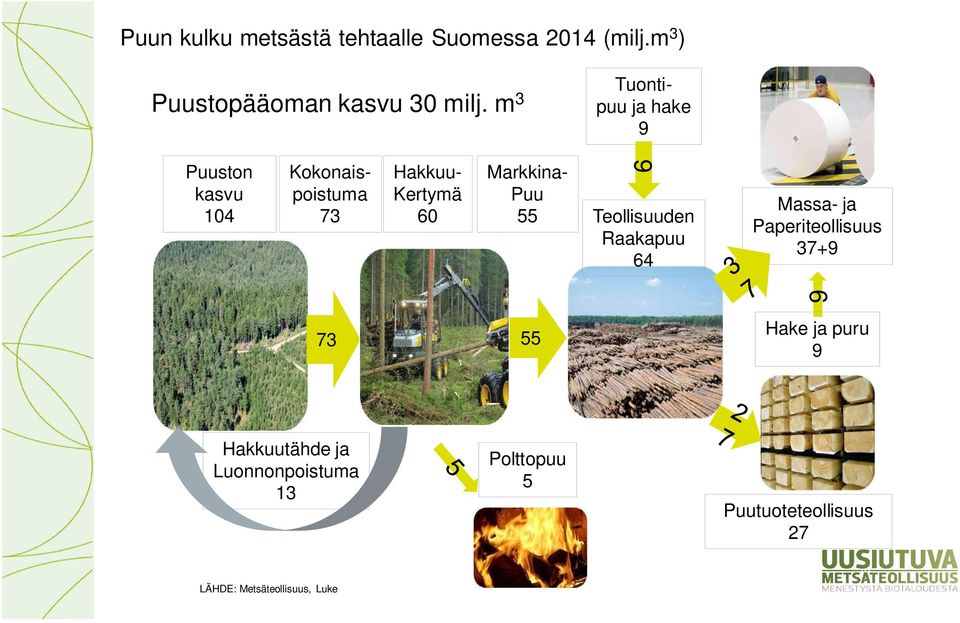 Puu 55 9 Teollisuuden Raakapuu 64 Massa- ja Paperiteollisuus 37+9 9 73 55 Hake ja puru 9