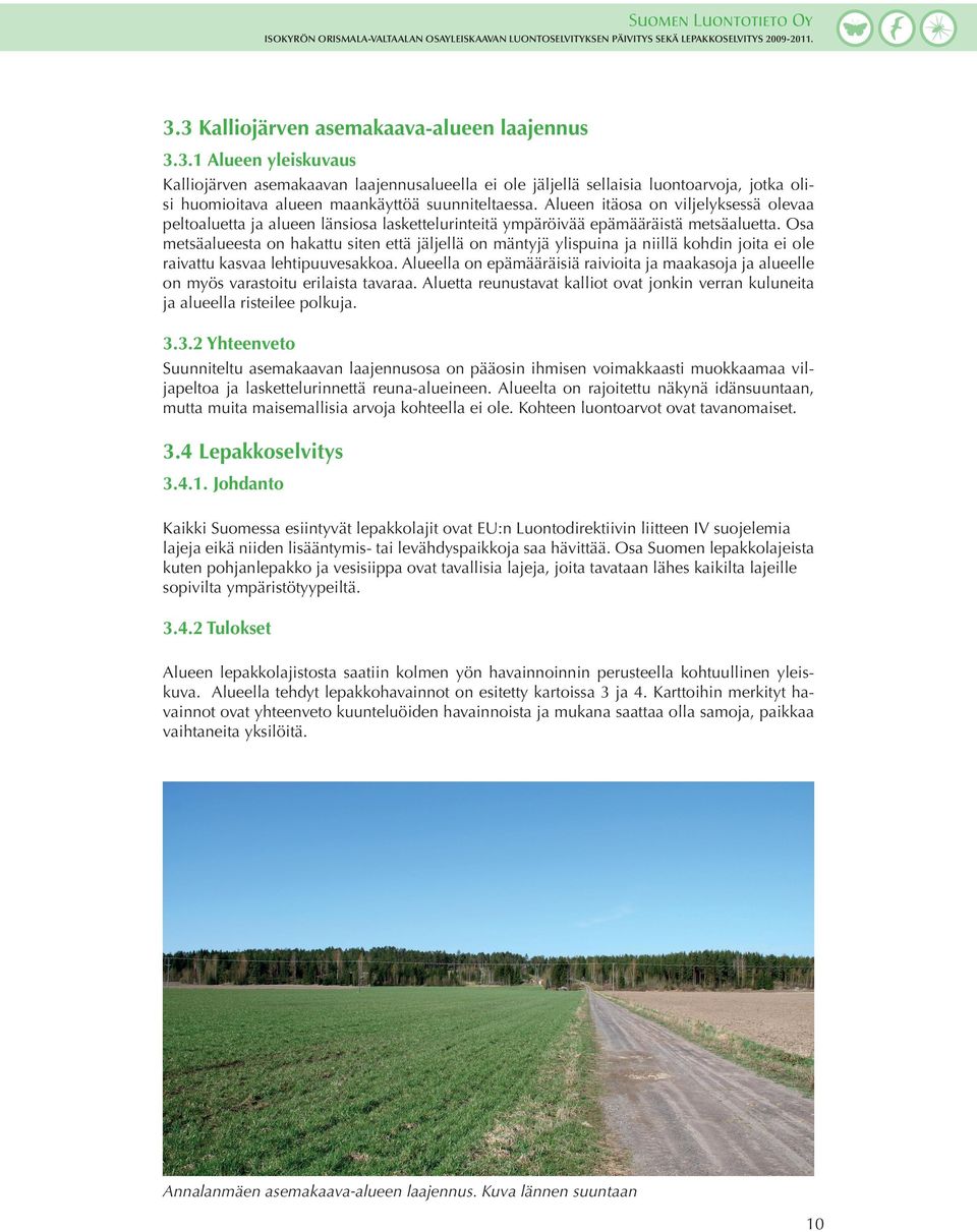Osa metsäalueesta on hakattu siten että jäljellä on mäntyjä ylispuina ja niillä kohdin joita ei ole raivattu kasvaa lehtipuuvesakkoa.