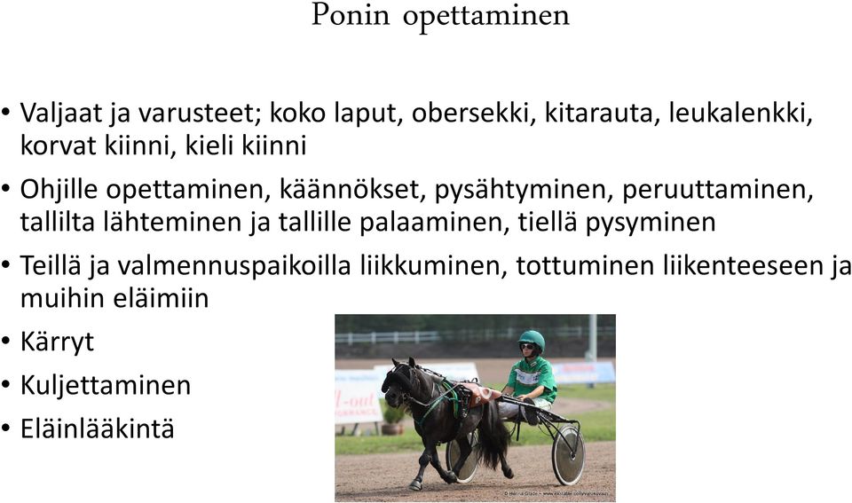 tallilta lähteminen ja tallille palaaminen, tiellä pysyminen Teillä ja valmennuspaikoilla