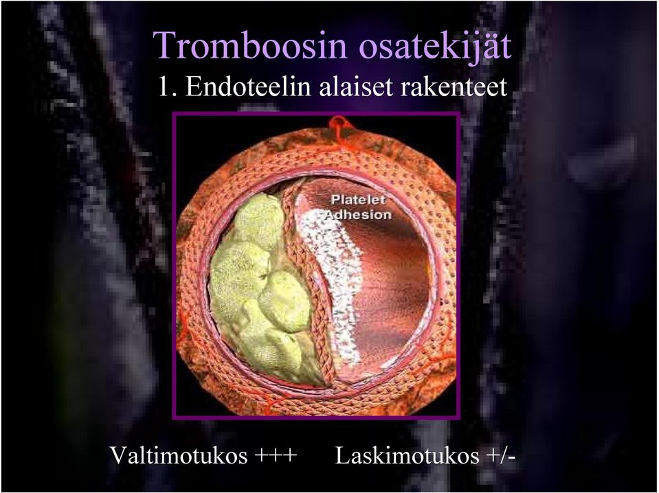 rakenteet