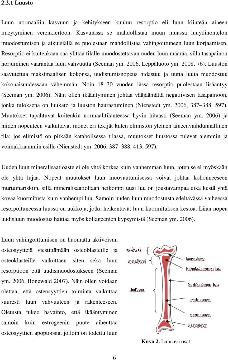 Resorptio ei kuitenkaan saa ylittää tilalle muodostettavan uuden luun määrää, sillä tasapainon horjuminen vaarantaa luun vahvuutta (Seeman ym. 2006, Leppäluoto ym. 2008, 76).