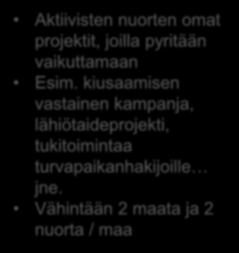 Eurooppalaiset nuorisoaloitteet Aktiivisten nuorten omat projektit, joilla pyritään vaikuttamaan Esim. kiusaamisen vastainen kampanja, lähiötaideprojekti, tukitoimintaa turvapaikanhakijoille jne.