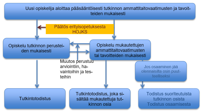 15 7.4. Mukauttamisprsessi Sakkyssa (Opas mukauttamiseen 2016) Mukauttaminen vi tarkittaa työn tekemisen itsenäisyyden vähentämistä tai että tavitteita vähennetään ja pistetaan.