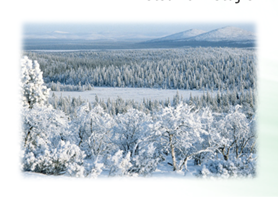 Ruotsin Metsähallitus ja Luonnonhoitolaitos (Naturvårdsverket) ovat saaneet tehtäväkseen laatia