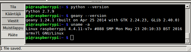 Geanyn alakerran ikkunoita voi käyttää moneen tarkoitukseen. Raspin Terminal-ohjelma.