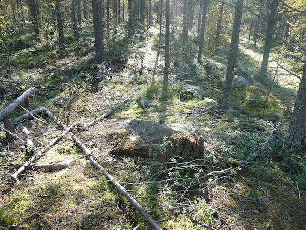 21 Yleiskuva kohteesta. Kuvattu etelään. Kohde 2 kartalla.