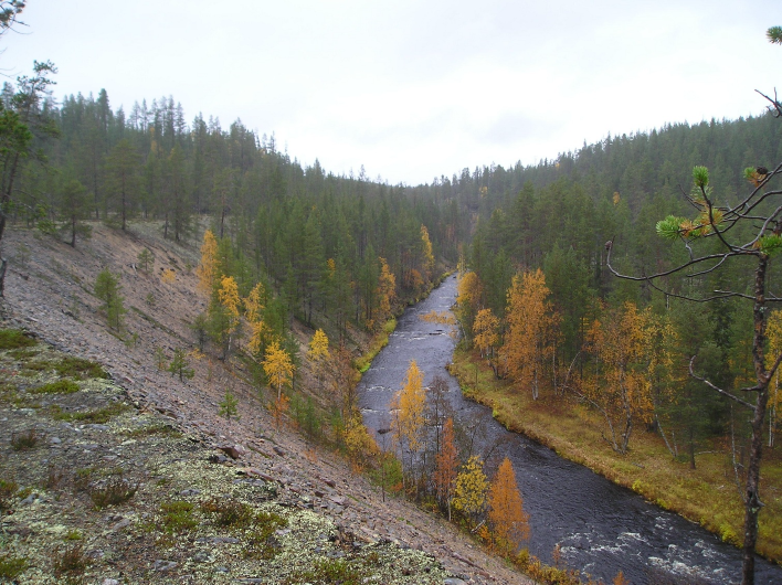 68 KOLARI 35 /2 KUERKOSKI 2 Rauh.lk: 3 Kartta: esihistoriallinen asuinpaikka 2732 01 YLLÄS x: 7497 78 y: 2502 00 z: 200 p: 7500 78 i: 3374 22 Jussila T 2007 inventointi, Kotivuori H 1988 inventointi.