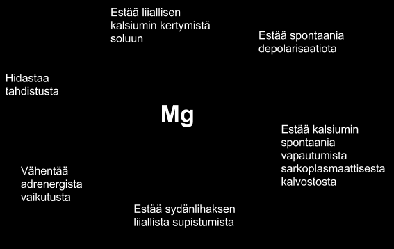 Kuva 4. Magnesiumin sydäntä suojaavat vaikutukset. 2.