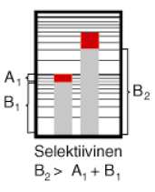 Mäkihannu Tuomo Opinnäytetyö 18 Kuva 3 OFAA -kahvasulakkeiden (gg) I 2 t -arvot ja selektiivisyys /1/ Kuvasta huomataan, että kaikki suojat ovat selektiivisiä toistensa kanssa.
