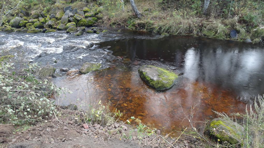 Jyllinjon Särkikosken kunnostus