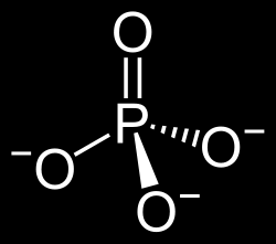 2 FOSFORI Fosfori on alkuaine, joka luetaan epämetalleihin. Fosforin kemiallinen merkki on P, joka tulee latinankielen sanasta phosphorus.