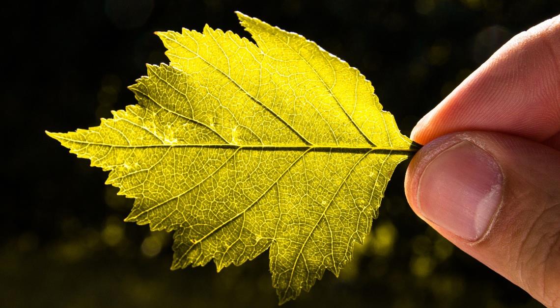 55% kuntavaikuttajista sanoo, että tuotteiden ja palveluiden hankintoja ohjaavassa
