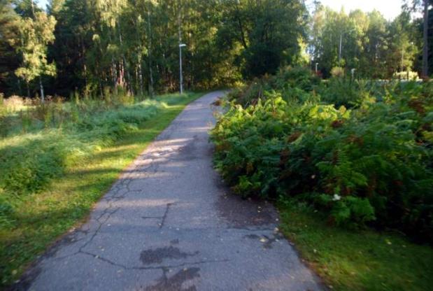 Näkemät ja