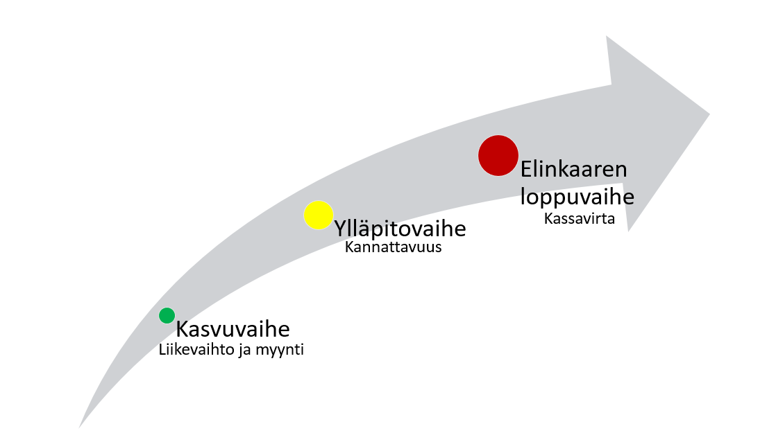 19 Kuvio 4. Yrityksen elinkaarivaiheet ja strategiset teemat. Kasvuvaihe Kasvuvaiheen yritykset ovat tyypillisesti juuri aloittaneet toimintansa ja tavoittelevat nopeaa kasvua valituilla markkinoilla.