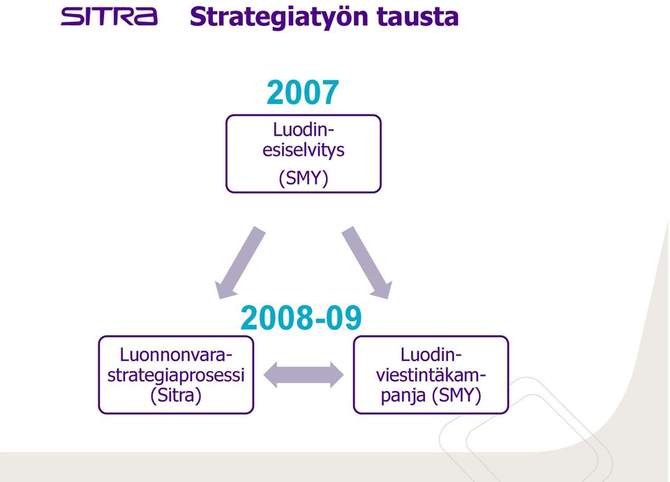 Luonnonvarastrategiaprosessi