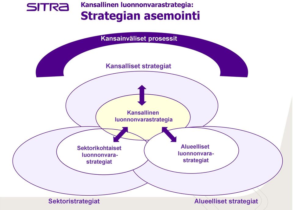 luonnonvarastrategia Sektorikohtaiset luonnonvarastrategiat