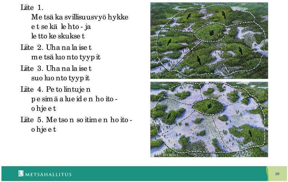 Liite 2. Uhanalaiset metsäluontotyypit Liite 3.