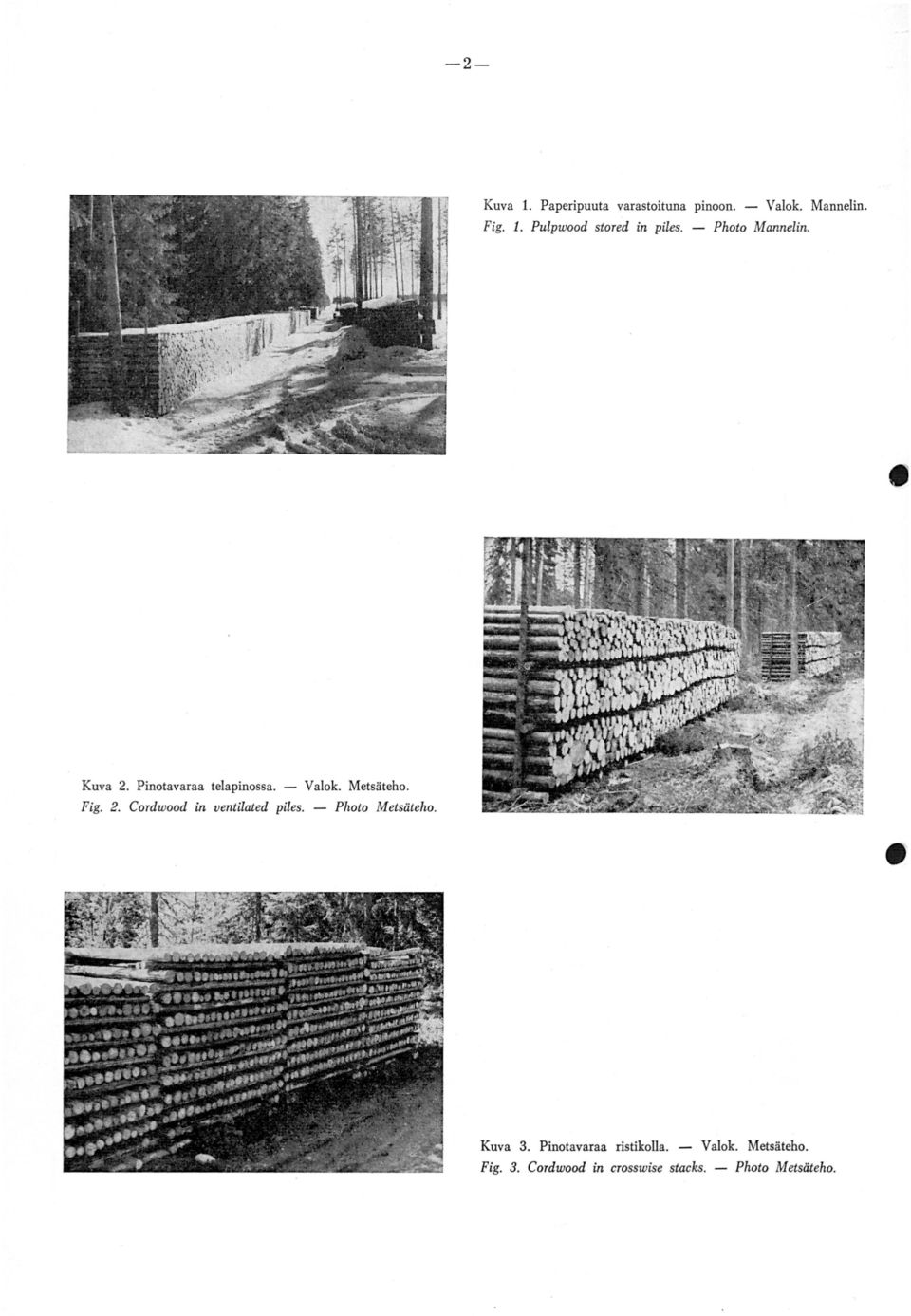 Metsäteho. Fig. 2. Cordwood in ventilated piles. - Photo Metsäteho. Kuva 3.