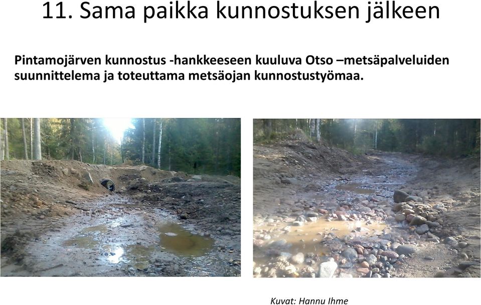 Otso metsäpalveluiden suunnittelema ja