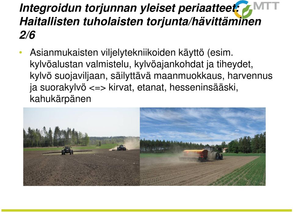 kylvöalustan valmistelu, kylvöajankohdat ja tiheydet, kylvö suojaviljaan,