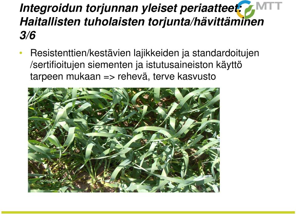 Resistenttien/kestävien lajikkeiden ja standardoitujen