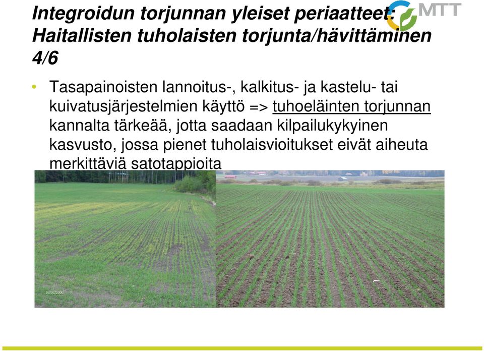 kuivatusjärjestelmien käyttö => tuhoeläinten torjunnan kannalta tärkeää, jotta