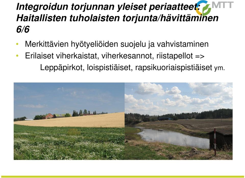 suojelu ja vahvistaminen Erilaiset viherkaistat, viherkesannot,