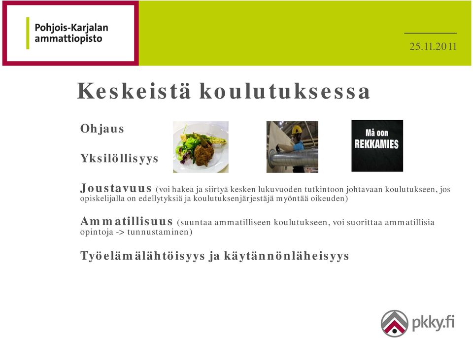 koulutuksenjärjestäjä myöntää oikeuden) Ammatillisuus (suuntaa ammatilliseen