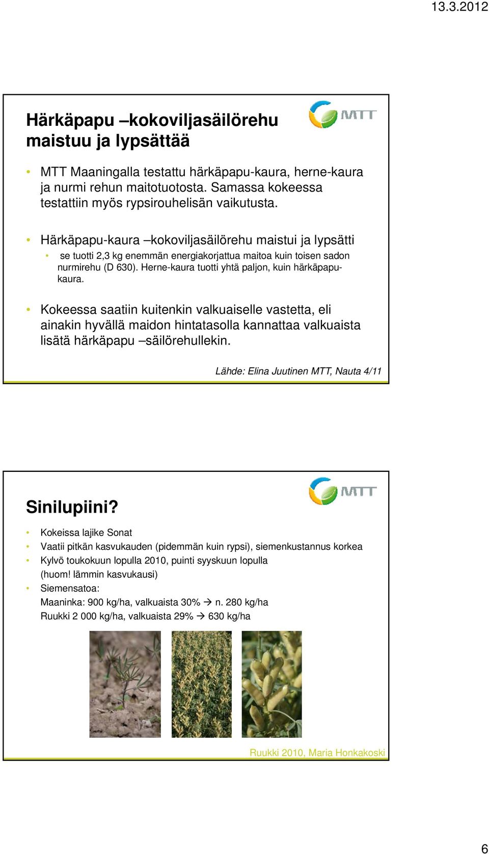 Kokeessa saatiin kuitenkin valkuaiselle vastetta, eli ainakin hyvällä maidon hintatasolla kannattaa valkuaista lisätä härkäpapu säilörehullekin. Lähde: Elina Juutinen MTT, Nauta 4/11 Sinilupiini?