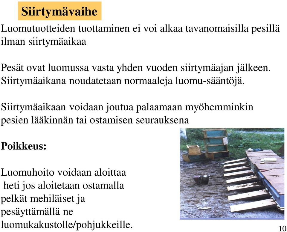 Siirtymäaikaan voidaan joutua palaamaan myöhemminkin pesien lääkinnän tai ostamisen seurauksena Poikkeus: