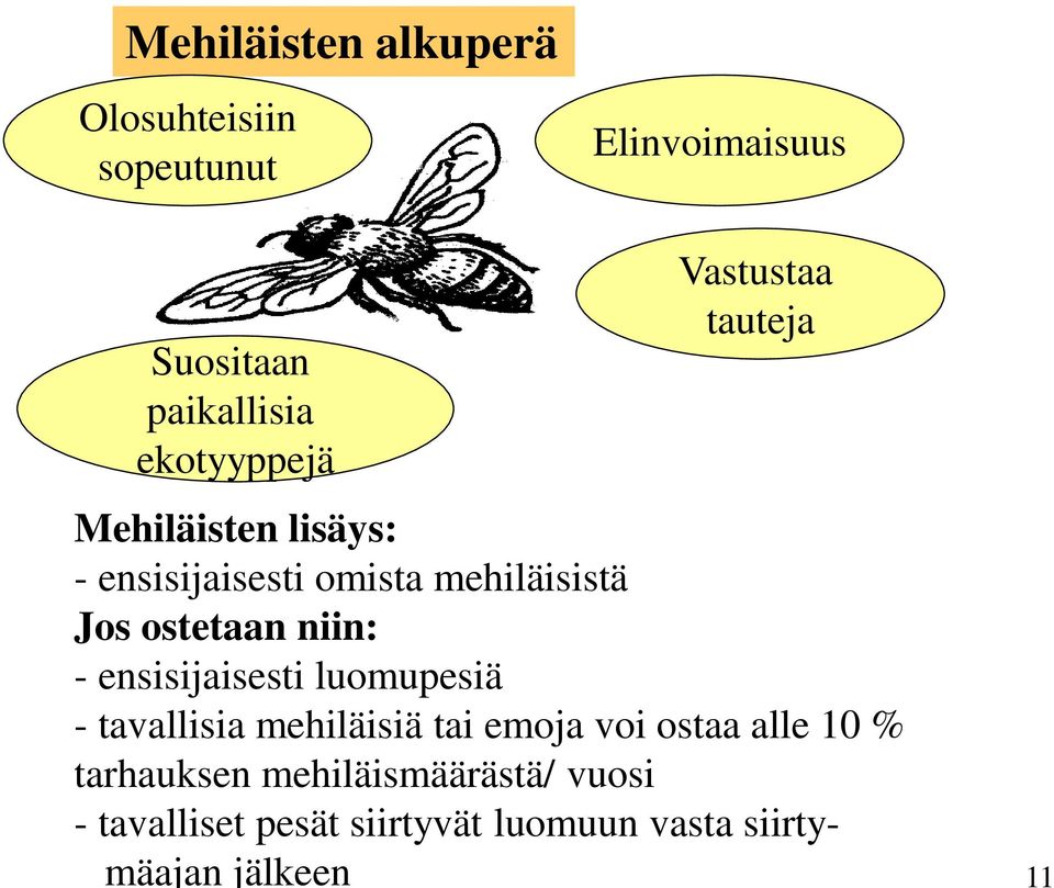 ostetaan niin: - ensisijaisesti luomupesiä - tavallisia mehiläisiä tai emoja voi ostaa alle