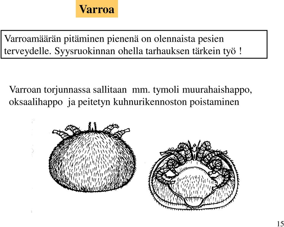 Syysruokinnan ohella tarhauksen tärkein työ!