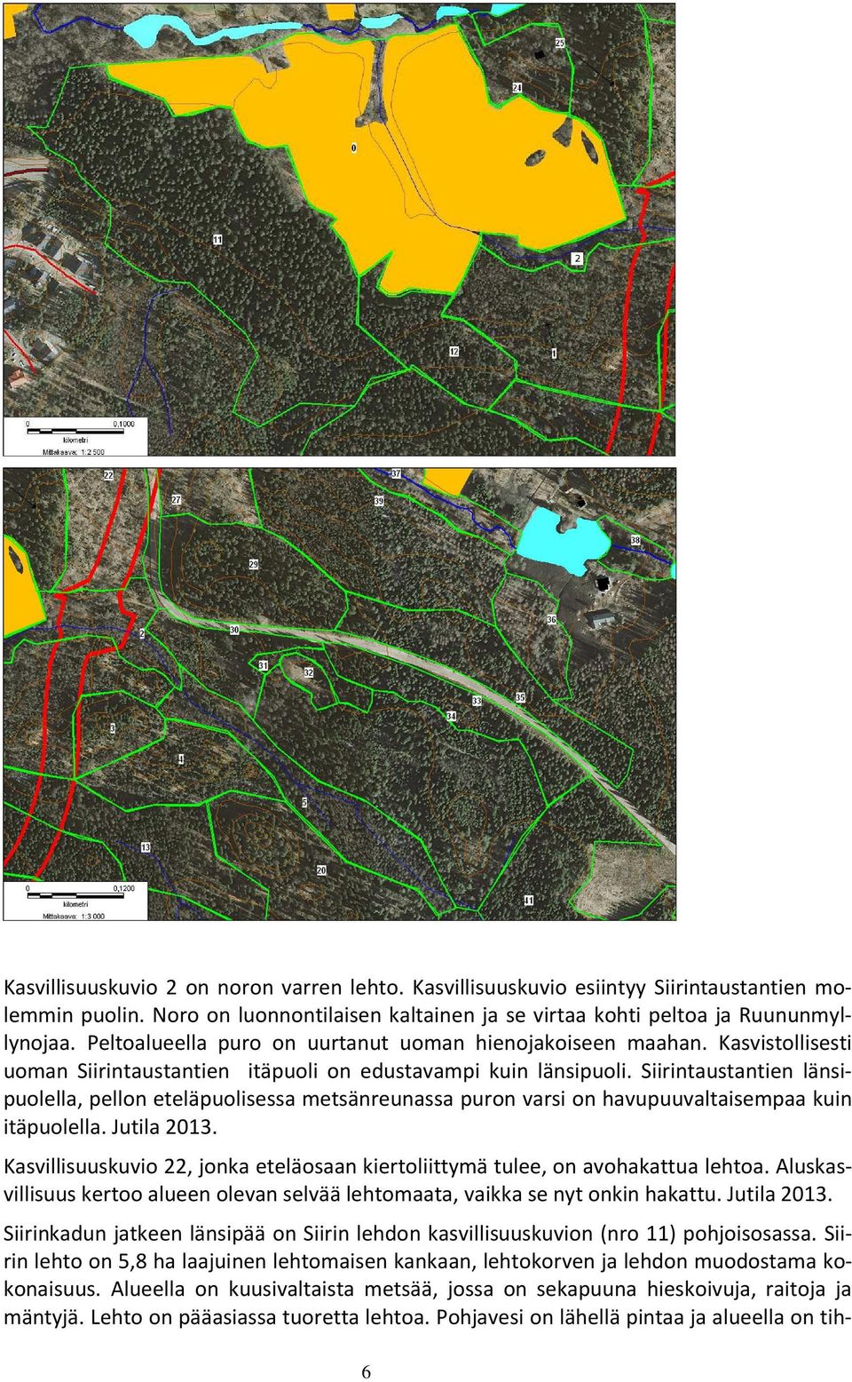 Siirintaustantien länsipuolella, pellon eteläpuolisessa metsänreunassa puron varsi on havupuuvaltaisempaa kuin itäpuolella. Jutila 2013.