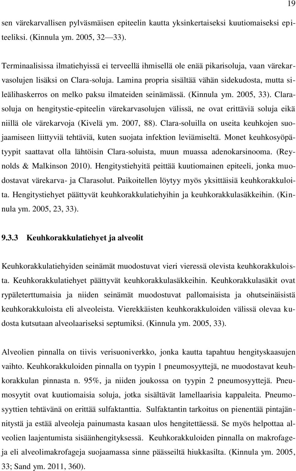 Lamina propria sisältää vähän sidekudosta, mutta sileälihaskerros on melko paksu ilmateiden seinämässä. (Kinnula ym. 2005, 33).