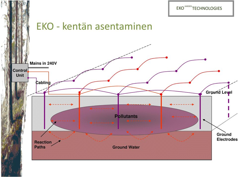 Ground Level Pollutants Reaction