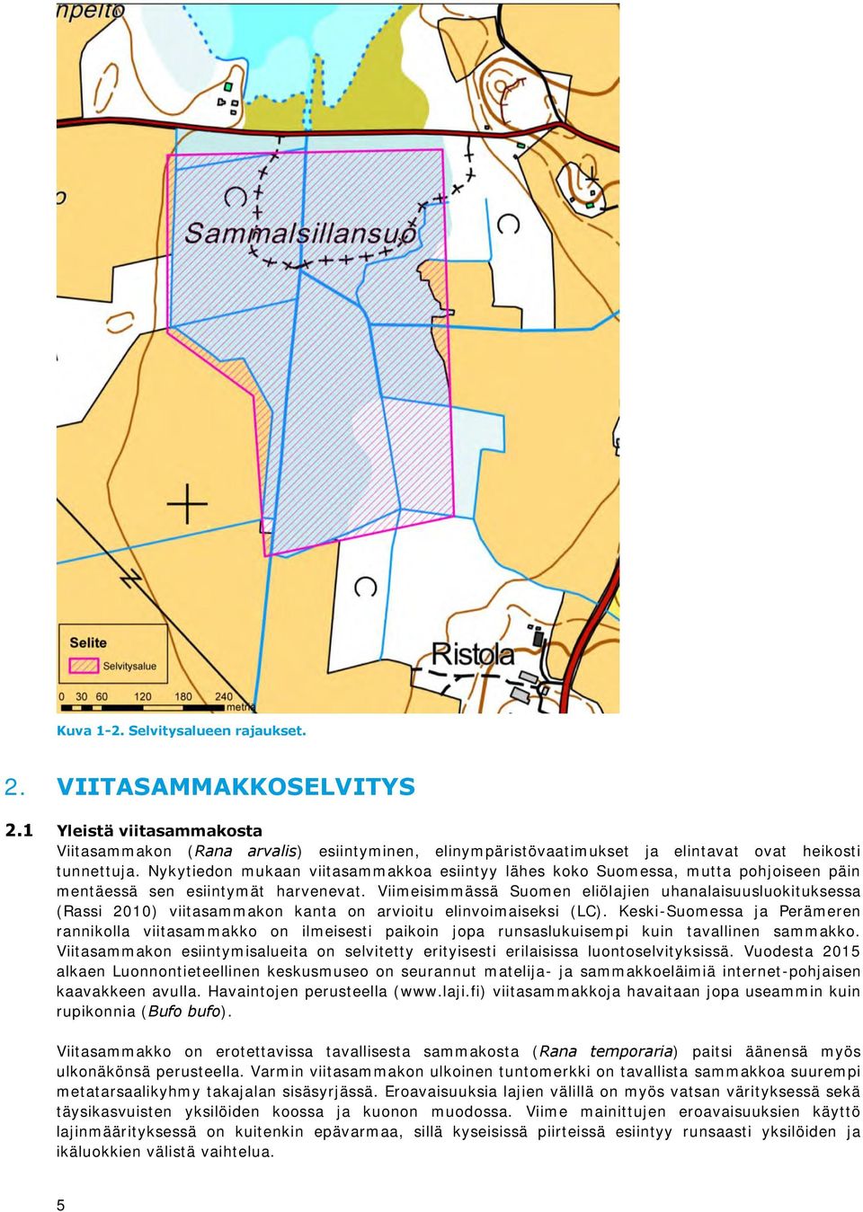 Viimeisimmässä Suomen eliölajien uhanalaisuusluokituksessa (Rassi 2010) viitasammakon kanta on arvioitu elinvoimaiseksi (LC).