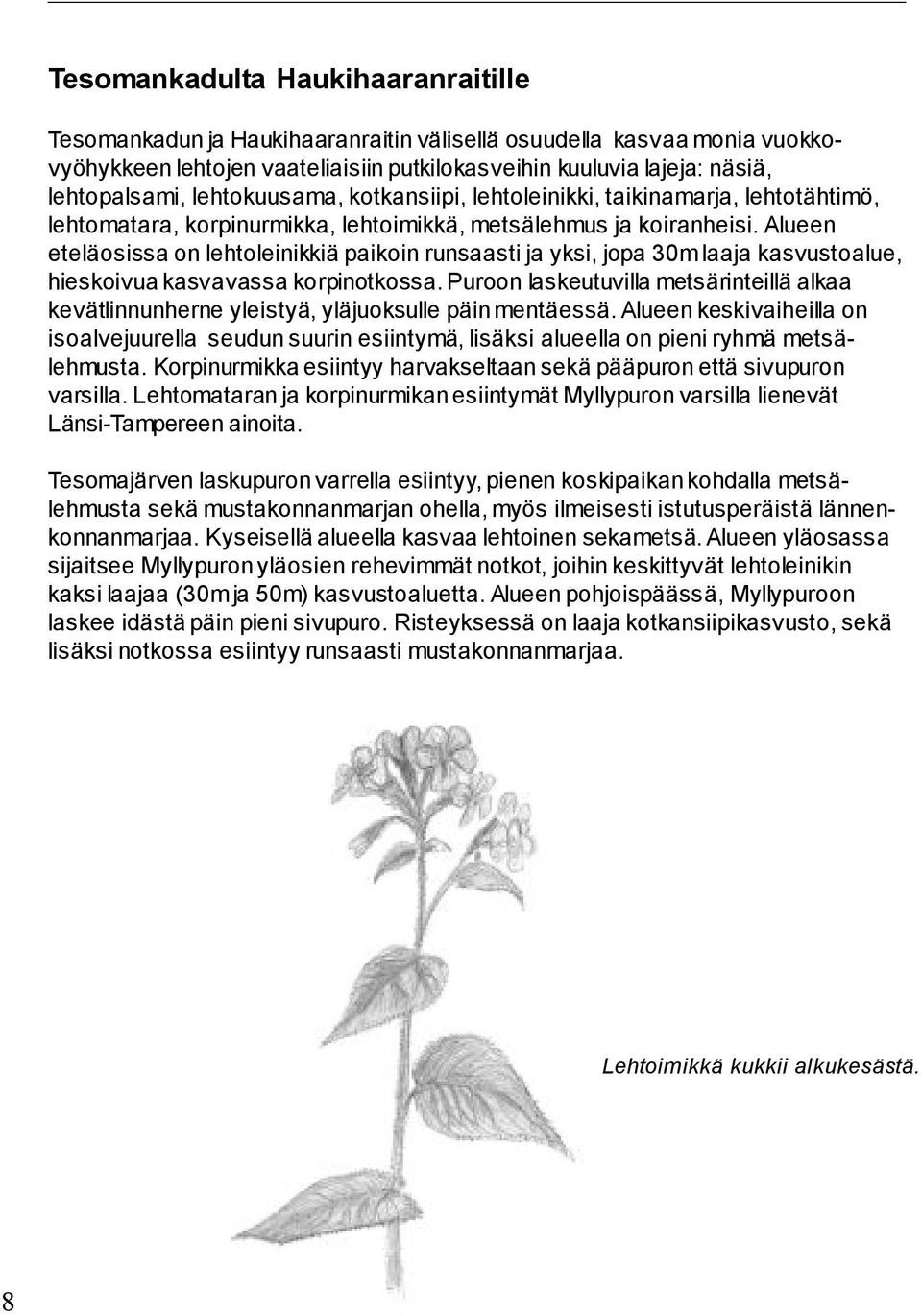 Alueen eteläosissa on lehtoleinikkiä paikoin runsaasti ja yksi, jopa 30m laaja kasvustoalue, hieskoivua kasvavassa korpinotkossa.