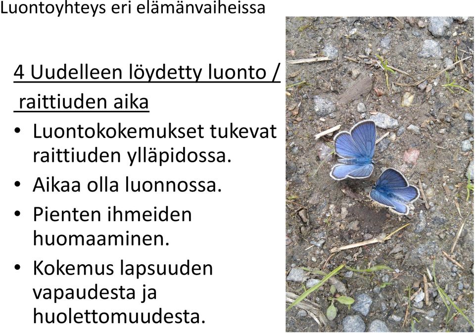 raittiuden ylläpidossa. Aikaa olla luonnossa.