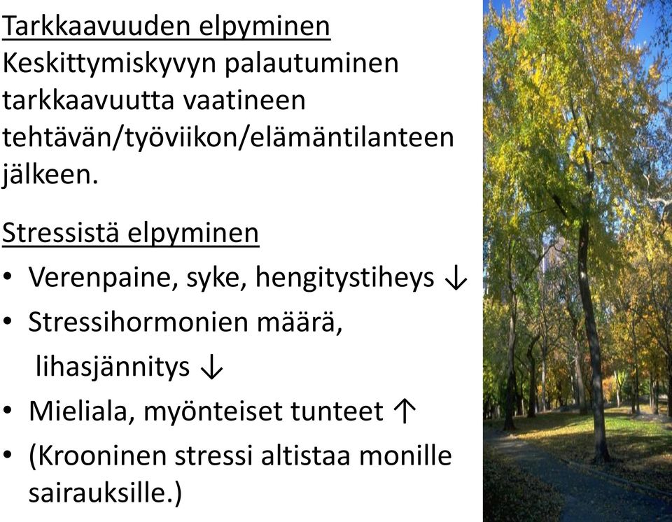 Stressistä elpyminen Verenpaine, syke, hengitystiheys Stressihormonien