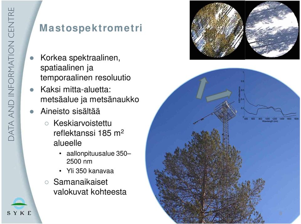 metsänaukko Aineisto sisältää Keskiarvoistettu reflektanssi 185 m 2