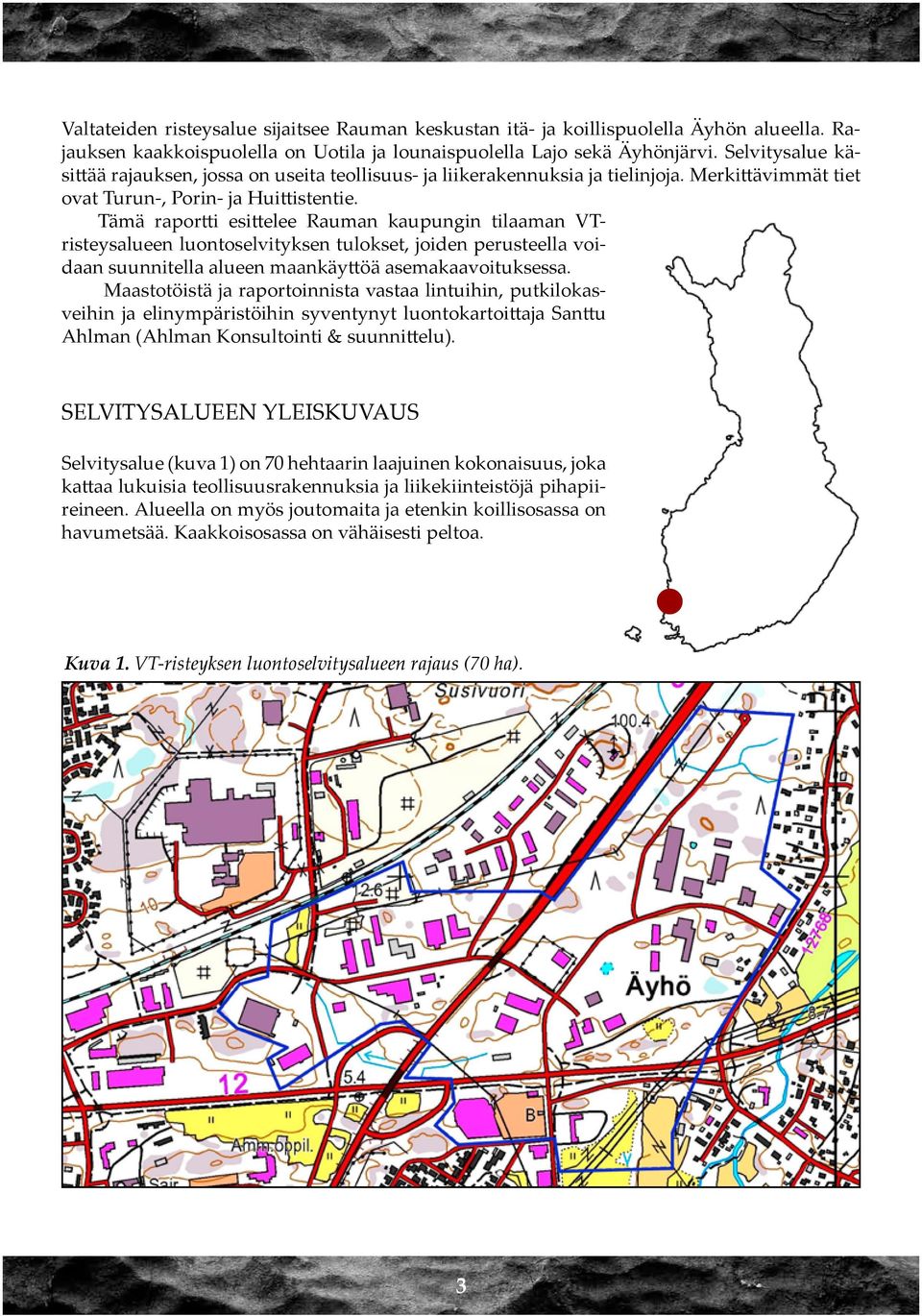 Tämä raportti esittelee Rauman kaupungin tilaaman VTristeysalueen luontoselvityksen tulokset, joiden perusteella voidaan suunnitella alueen maankäyttöä asemakaavoituksessa.
