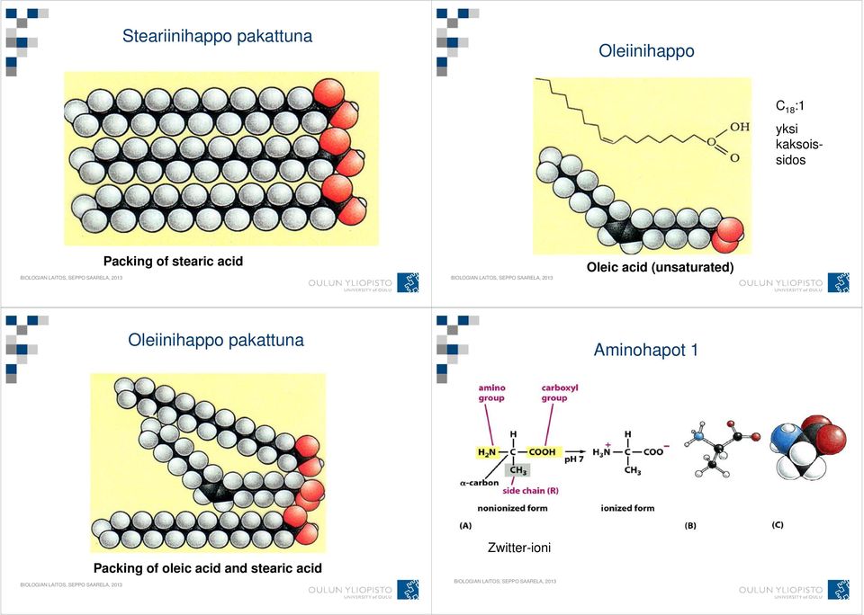 acid (unsaturated) Oleiinihappo pakattuna